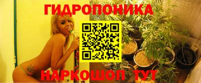 ALPHA PVP Кандалакша